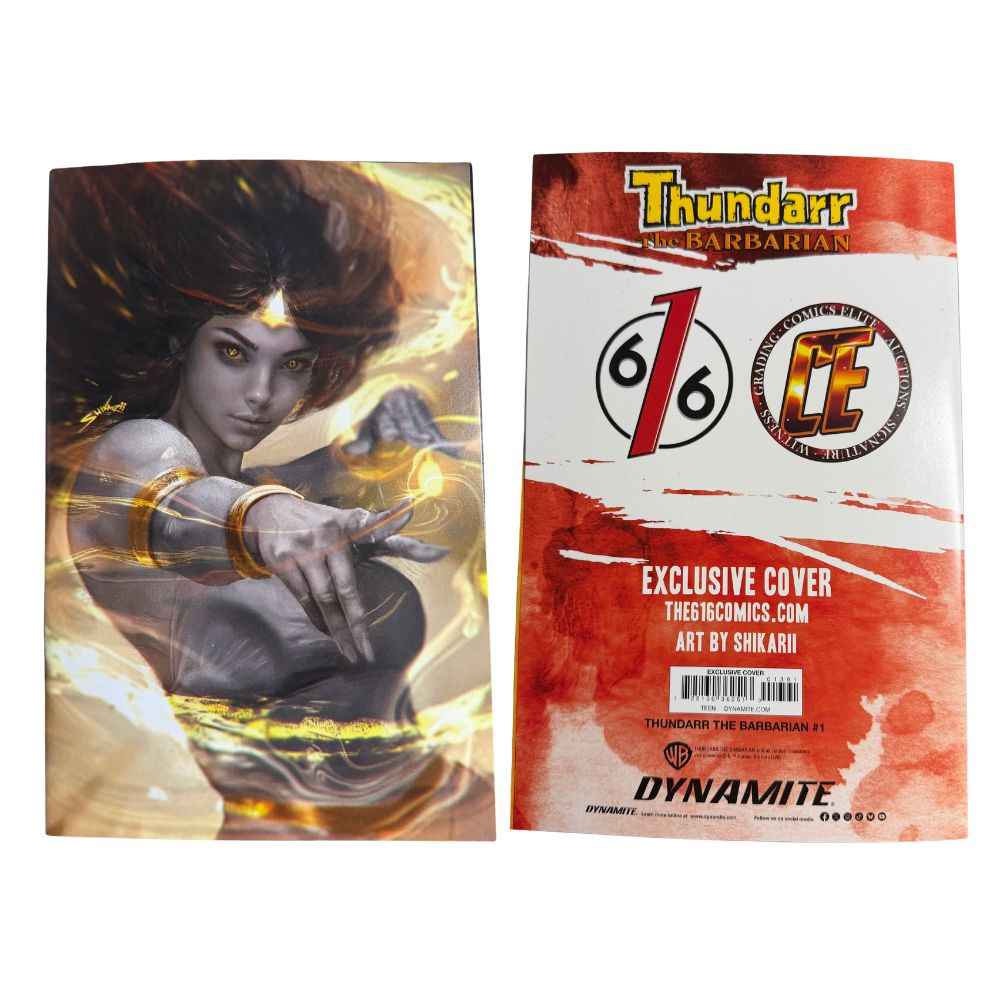 Thundarr the Barbarian 1 Virgin Exclusive (Grey) | Shikarii | Ltd 500